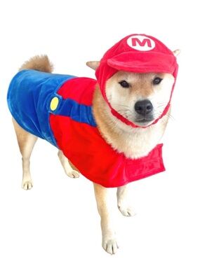 Mario Bros Dog Costume—MISSING HAT